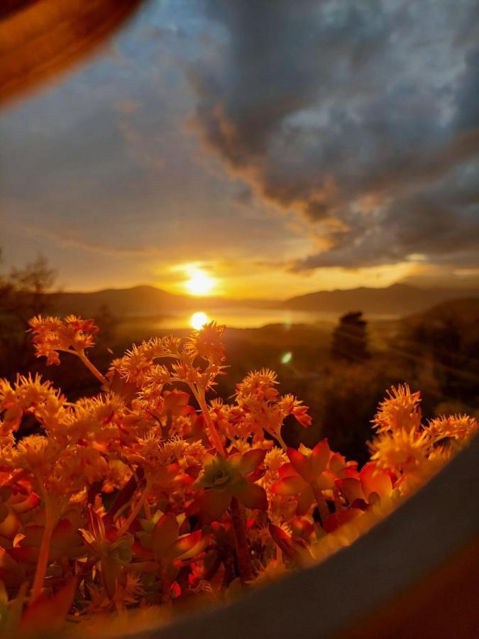 Guest House Pocanic Tivat Buitenkant foto